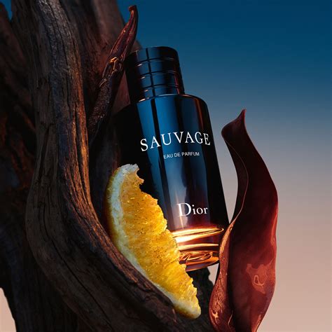 eau sauvage de dior prix|eau sauvage de chez Dior.